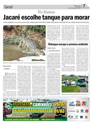 Geral 7Correio do Sul
Terça-feira,
24 de fevereiro de 2015
> BALNEÁRIO GAIVOTA
Um grave acidente en-
volvendo dois veículos Gol,
deBalneárioGaivotaeSom-
brio,foiregistradoporvolta
das 14h20min de ontem,
na rodovia José Tiscoski. A
colisão deixou três pessoas
feridas e duas em estado de
choque. O fato ocorreu na
LagoadeFora,poucodepois
da ponte que faz divisa en-
tre os municípios.
Geni Maria Martins
Coelho, de 58 anos, estava
no Gol que trafegava no
sentido Sombrio/Gaivota,
conduzido pelo seu filho,
Edvan Martins Coelho, 35.
Asenhora foi encaminhada
ao Hospital Dom Joaquim
com ferimentos no braço e
hematomas pelo corpo. O
mesmo ocorreu com Cássia
Veridiana Maciel Silva, 36,
que dirigia o outro Gol, que
seguianadireçãocontrária.
Maria Elizabeth Maciel
Rodrigues, 16, estava no
carro com a mãe e detalha
os momentos que antece-
deram a batida. “Foi muito
assustador. O reboque que o
outro carro puxava arreben-
tou. Ele perdeu o controle e
rodou na pista. Ou a minha
mãe tirava o carro para a
ribanceiraoucolidianooutro
carro. Na verdade, não deu
muito tempo de pensar em
umareação.Sóouviumgrito
e a forte colisão”, lembra a
adolescente, única que não
se feriu.
Edvan teve um profun-
do corte no pé direito. Geni
Maria e Cássia realizaram
uma série de exames e raio-
Reboqueescapaeprovocaacidente
-X. Elas passam bem,
apesar do grande susto.
Váriostijolosqueestavam
no reboque ficaram espa-
lhados pela marginal da
rodovia. Este é o segundo
acidente de maior gra-
vidade na José Tiscoski
em cinco dias. Na última
quinta-feira, o condutor
deumPeugeotdeSombrio
perdeu o controle após o
carroaquaplanarnapista
e bateu em um poste. O
acidente deixou Balneá-
rio Gaivota sem energia
elétrica por cinco horas.
adotado há alguns meses
por colaboradores, mora
pertinhodopredador.Além
disso, o jacaré, que ainda
é considerado um ‘adoles-
cente’ da espécie, cresce
rápido e assustadoramen-
te. Já tem quase 1,5 metro
da calda à cabeça e os
dentes estão bem afiados.
“Também achamos que há
risco de ele conseguir sair
do tanque e migrar para
a rodovia bem em frente,
sendo atropelado”, alerta a
engenheira química do Sa-
mae,Ana Paula Medeiros.
Ela informa que a Po-
lícia Militar Ambiental
(PMA) de Maracajá já foi
comunicadasobreoproble-
ma. “Eles estiveram aqui
³Jacaré chegou pequeno, mas está crescendo rapidamente sem sair do tanque
há quase um mês, mas
não conseguiram retirar
o animal porque falta-
va um equipamento para
captura-lo”, lembra Ana
Paula. O comandante da
PMA na região, tenente
João Schneider, confirma
que o Jacaré não foi tirado
dolocalàépocaporfaltade
material. “Não realizamos
esteserviçoporqueestáva-
mosemOperaçãoVeraneio
e havia outras necessi-
dades mais relevantes.
No entanto, nos próximos
cinco dias a guarnição fará
a captura deste animal e o
recolocará em seu habitat
natural novamente”, ga-
rante Schneider. O oficial
detalha que é comum a
³Acidente assustou passageiros dos dois veículos
Animal apareceu há um mês e está sendo cuidado pelos funcionários. Polícia Ambiental vai recolocá-lo em seu habitat natural nesta semana
Rafael Andrade
Rafael Andrade
Jacaréescolhetanqueparamorar
> SOMBRIO
Uma cena meio inu-
sitada pode ser
conferida de perto no Sa-
mae de Sombrio. Um jacaré
adotou um dos tanques de
tratamento de esgotamen-
tosanitárioparamorar.Há
um mês, o réptil apareceu
muito provavelmente vin-
do de um dos rios que corta
a região leste da cidade e
não quis mais voltar ‘para
casa’.
Funcionários do Sa-
mae estão preocupados
com o animal, já que um
cachorro vira-lata, que foi
No Samae
aparição de jacaré, já que
esta é uma área de muitos
rios. “É importante não
alimentar este tipo de
animal como se fosse um
bicho doméstico. Também
nãoaconselhamosqueseja
criado algum tipo de vín-
culo. O jacaré é silvestre e
perigoso”, completa.
Este réptil é um ani-
mal carnívoro, alimenta-
-se de quase todos os ani-
mais da floresta, desde
peixes até aves e mamí-
feros. Em seu cardápio
estão, inclusive, piranhas
e bovinos.Afêmea faz um
ninho na vegetação na
beira do lago, onde coloca
seus ovos, que após um
mês de incubação, eclo-
dem. Os adultos podem
pesar até 100 quilos e
atingir 1,8 metro de com-
primento. Possui cerca de
80 dentes, mas só os usa
quando a presa é grande,
pois segura a presa e sa-
codeatéquesedespedace.
Os jacarés atacam o ho-
mem quando sentem que
seu ninho está ameaçado.
 