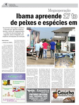 4 Correio do Sul
Segunda-feira,
25 de maio de 2015
litarAmbiental gaúcha e
catarinense, delegacia e
PM de Passo. No entan-
to, a área é de abran-
gência do Ibama que
confirmou a denúncia e
uma série de irregulari-
dades. O proprietário do
estaleiro não apresentou
licenciamento ambien-
tal, alvará de funciona-
mento e muitos outros
documentos necessários
para manter o negócio.
O motorista de um cami-
nhão da empresa Rogé-
rio da Tilápia, de Braço
do Norte, com nove to-
neladas de pescado, foi
impedido de prosseguir
o carregamento e retido.
As demais toneladas
de pescado estavam es-
tocadas em um galpão
refrigerado anexo ao es-
taleiro, mas que também
não tinha a documenta-
Rafael Andrade
Ibama apreende 17 to n
de peixes e espécies em
Megaoperação
> PASSO DE TORRES
Uma megaoperação
de agentes ambientais
federais do Ibama em
Passo de Torres, durante
a quinta e sexta-feira,
resultou na apreensão
de 17 toneladas de pei-
xes, a maioria tainha.
Uma denúncia realizada
na Secretaria Municipal
de Meio Ambiente levou
os fiscais até o estaleiro
do empresário Manoel
Lessa Silveira, o Lelo, no
bairro Estaleiro, às mar-
gens do rio Mampituba.
O denunciante alegou
que peixes mortos esta-
vam boiando próximo ao
canal da barra.
Vários
órgãos foram comunica-
dos, como as Polícias Mi-
Na primeira abordagem estaleiro
é lacrado por agentes federais
devido a série de irregularidades
e a falta de documentação. Na
segunda, barco é flagrado com
espécies ameaçadas de extinção
ção necessária. Uma em-
barcação e uma rede de
pesca foram apreendidas
pelos agentes federais,
assim como o caminhão
de Braço do Norte.
O peixe
foi doado para mais de
150 entidades de San-
ta Catarina e do Rio
Grande do Sul. Até o
início da tarde de sex-
ta, representantes da
Pastoral da Criança de
Forquilhinha, conselhos
comunitários de igrejas
de Sombrio, Apaes de
Florianópolis e Passo de
Torres e do Projeto Mesa
Brasil, do Sesc de Porto
Alegre e Lajeado apre-
sentaram documentação
e contrato social para
requerer o alimento. An-
tes, o peixe apreendido
foi inspecionado por nu-
tricionistas que deram
aval ao consumo. Cente-
nas de famílias de baixa
renda dos dois estados
serão contempladas. Os
fiscais do Ibama não
divulgaram o valor da
multa imposta ao dono
do estaleiro, que neste
ano ainda teve preju-
ízos com duas de suas
nove embarcações de
pesca encalhadas, uma
na Praia dos Molhes e
outra na Praia da Lagoi-
nha, no Arroio do Silva.
Além das
irregularidades descri-
tas, nenhum dos funcio-
nários do estaleiro tinha
registro profissional no
Ministério do Trabalho,
que também foi acionado
a comparecer no local,
mas não havia pessoal
disponível. No entanto,
todos os procedimentos
foram encaminhados ao
órgão, que deverá cobrar
uma posição a respeito.
O estabelecimento foi
lacrado até que todas as
medidas cobradas sejam
regularizadas. É o maior
estaleiro da região.Além
de pesca, fabricava e
realiza reformas em em-
barcações.
³Agentes do Ibama interditaram estaleiro e um entreposto
 