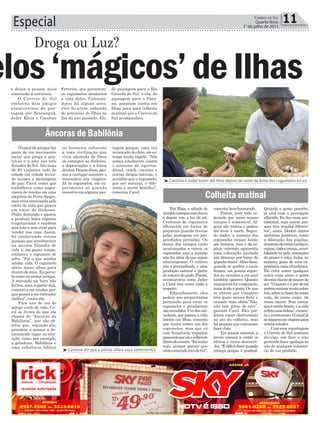 11Correio do Sul
Quarta-feira,
1° de julho de 2015Especial
³Caroline e Jader foram até Ilhas depois de saber da fama dos cogumelos locais
³Caroline diz que a planta aflora seus sentimentos
elos‘mágicos’ deIlhas
Droga ou Luz?
e deixa a pessoa mais
conectada à natureza.
O Correio do Sul
conheceu dois amigos
aventureiros de pas-
sagem por Araranguá,
Jader Klein e Caroline
Ferreira, que garantem:
os cogumelos mudaram
a vida deles. Consumi-
dores há alguns anos,
eles ficaram sabendo
do potencial de Ilhas no
fim do ano passado. Ele,
de passagem para o Rio
Grande do Sul, e ela, de
passagem para o Para-
ná, pararam juntos em
Ilhas para uma colheita
matinal que o Correio do
Sul acompanhou.
ou histórica referente
a uma civilização que
vivia afastada de Deus
ou entregue ao dinheiro,
a depravações e a falsos
deuses. Depois disso, pas-
sou a carregar somente o
necessário nas viagens.
Já os cogumelos, ela ex-
perimenta só quando
encontra em alguma pas-
comenta bem-humorado.
Porém, nem todo co-
gumelo que nasce nesses
campos é comestível. Al-
guns são tóxicos e podem
até levar à morte. Segun-
do Jader, a maioria dos
cogumelos nesses locais
são brancos, mas o da es-
pécie cubensis apresenta
uma coloração azulada
nas lâminas por baixo do
‘guarda-chuva’.Alémdisso,
quando se quebra o caule
branco, em poucos segun-
dos ou minutos a cor azul
também aparece. Quanto
maisjovemforocogumelo,
mais ácido o gosto. Os que
se abrem por completo
têm gosto menos forte e
causam mais efeito.“Não,
não tem gosto de coco”,
garante Carol. Eles pre-
ferem comer diretamente
no ato da colheita, mas
há pessoas que costumam
fazer chás.
Em poucos minutos, a
jovem começa a sentir os
efeitos e tenta descrevê-
-los. “É difícil dizer quando
começa porque é gradual.
O casal de amigos faz
parte de um movimento
social que prega a gen-
tileza e a arte nos três
Estados do Sul. São mais
de 20 viajantes indo de
cidade em cidade levan-
do música e mensagens
de paz. Carol conta que
trabalhava como super-
visora de vendas em uma
empresa de PortoAlegre,
mas vivia estressada pelo
estilo de vida que girava
em torno do dinheiro.
Pediu demissão e passou
a produzir bolos veganos
(vegetarianos e também
sem leite e sem ovos) para
vender nas ruas. Assim,
foi conhecendo outras
pessoas que acreditavam
na mesma filosofia de
vida e, em pouco tempo,
conheceu o cogumelo de
zebu. “Foi o que mudou
minha vida. O cogumelo
abriu meus olhos para
dentro de mim. Eu perce-
bi como eu sentia invejas.
A sensação na hora não
foi boa, mas, a partir dali,
comecei a me mudar, por-
que passei a me entender
melhor”, conta ela.
Para sair de vez do
antigo estilo de vida, Ca-
rol se livrou do que ela
chama de “âncoras da
Babilônia”, que são ob-
jetos que, segundo ela,
prendem a pessoa a de-
terminado lugar ou situ-
ação, como, por exemplo,
a geladeira. Babilônia é
uma referência bíblica
Em Ilhas, o sábado de
manhãcomeçoucomchuva
e depois veio a luz do sol.
Centenas de cogumelos
afloraram em forma de
pequenos guarda-chuvas
pelas pastagens em pro-
priedades privadas. Os
donos dos campos estão
acostumados a verem os
cogumelos, mas a maioria
não faz ideia de que sejam
alucinógenos. O cultivo
não é premeditado, é uma
produção natural a partir
do esterco do gado. Porém,
aventureiros como Jader
e Carol têm outra visão a
respeito.
Educadamente, eles
pedem aos proprietários
permissão para catar os
cogumelos e geralmente
sãoatendidos.Umdosmo-
radores, que passou a vida
inteira em Ilhas, comenta
que nunca comeu um dos
cogumelos, mas que vê
com frequência viajantes
passandoporaliecolhendo
diretodoesterco.“Eutenho
nojo, porque parece que
estãocomendococodeboi”,
Âncoras de Babilônia
Colheita matinal
tagem porque, uma vez
arrancado do chão, ele es-
traga muito rápido. “Nós
somos totalmente contra
o consumo de cigarros,
álcool, crack, cocaína e
outras drogas nocivas, e
acredito que o cogumelo,
por ser natural, é dife-
rente e muito benéfico”,
comenta Carol.
Quando a gente percebe,
já está com a percepção
aflorada. Eu fico mais sen-
timental, mas outras pes-
soas têm reações diferen-
tes”, conta. Dentre outros
sintomas possíveis, estão
a dilatação das pupilas,
aumentodoritmocardíaco,
enjoos,visõesirreais,sensi-
bilidade na pele, sensações
de prazer e calor. Jader, no
entanto, gosta de uma ex-
periênciamaisritualística.
Ele evita comer qualquer
outra coisa antes e gosta
deestardiantedonascerdo
sol. “O nascer e o por do sol
podemensinarmuitosobre
nós,sobreasfasesdanossa
vida, do nosso corpo, da
nossa mente. Sem contar
queémuitobonito,eavida
refleteessabeleza”,comen-
ta o aventureiro. O casal já
seseparouemviagenspara
outros estados.
Com essa reportagem
o Correio do Sul somente
divulga um fato e não
pretendefazerapologiaao
uso de qualquer substân-
cia de uso proibido.
 