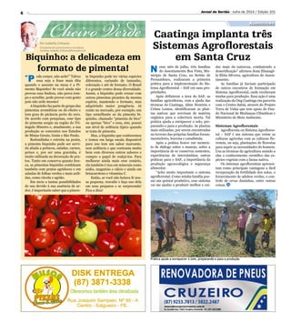 6
Divulgação
Prática ajuda a enriquecer o solo, preparando-o para a produção
Caatinga implanta três
Sistemas Agroflorestai...