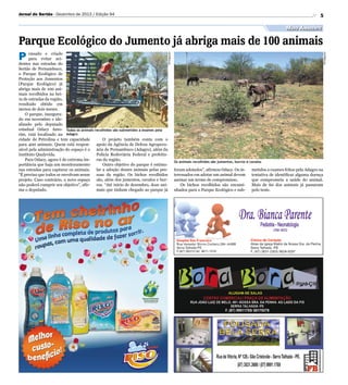 Jornal do Sertão - Dezembro de 2013 / Edição 94

5

Meio Ambiente

Divulgação

ensado e criado
para evitar acidentes nas e...