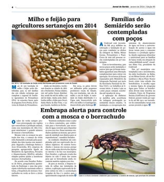 Jornal do Sertão - Janeiro de 2014 / Edição 95

4

Agricultura

Divulgação

Milho e feijão para
agricultores sertanejos em 2014
A

Em 2014, 120 toneladas de feijão serão distribuídas para produtores rurais do Estado

ais de 310 toneladas de
milho e feijão serão distribuídas para 19 mil famílias
das seis cidades sertanejas que
compõem a regional do Instituto Agronômico de Pernambuco
(IPA). As sementes fazem parte
do programa Terra Pronta, do Governo do Estado de Pernambuco.

O

Ainda em dezembro, receberam doações as cidades de Afrânio e Dormentes. Nestas cidades,
100 mil quilos foram distribuídos, sendo 60 mil de milho e 40
mil de feijão. Ainda serão distribuídos milho e feijão para Orocó,
Santa Maria da Boa Vista, e Lagoa Grande, também no Sertão.

Em 2014, os grãos devem
ser utilizados pelos pequenos
produtores rurais do Estado.
Das 310 toneladas, 190 são de
milho e 120 de feijão. A variedade do feijão distribuído é o
Vigna 206, desenvolvido pelo
IPA e do milho é o Caatingueiro,
desenvolvido pela Embrapa.

Codevasf está investindo R$ 40,5 milhões na
colocação e instalação de poços para combater os efeitos
da estiagem na Bahia, Minas
Gerais, Pernambuco e Piauí.
Cerca de 200 mil pessoas serão contempladas em 317 municípios.
Com os investimentos, 500
novos poços serão instalados e
outros 500 que já foram instalados aguardam uma liberação
complementar para entrar em
operação. Os recursos já foram
repassados pelo Ministério da
Integração Nacional, por meio
da Secretaria Nacional de Defesa Civil e os trabalhos já tiveram início. A meta é que os
1.000 poços estejam concluídos até meados de 2014.
A aplicação do dinheiro
se justifica pela ocorrência
da estiagem prolongada no
semiárido desses estados. “A
instalação e a recuperação dos

sistemas de abastecimento
de água vai levar a universalização do acesso à água em
áreas rurais para o consumo
humano e a produção agrícola, dando segurança alimentar
e nutricional para as famílias
de baixa renda em situação de
vulnerabilidade social”, ressaltou Elmo Vaz, presidente da
Codevasf.
Dos 317 municípios contemplados com o investimento,
63 estão localizados na Bahia,
41 em Minas Gerais, 28 em Pernambuco e 183 no Piauí. Nesses
locais existe uma seleção dos
beneficiários. A escolha segue
a mesma lógica do programa
Água para Todos: os beneficiários devem estar inscritos no
Cadastro Único de Programas
Sociais (CadÚnico) do governo
federal, possuir renda per capita de até R$ 140 e ser moradores de comunidades rurais com
acesso precário à água.

Embrapa alerta para controle
com a mosca e o borrachudo

calor do verão sempre provoca preocupação em regiões
que concentram a produção animal,
como nos municípios do Alto Uruguai catarinense: o grande número
de moscas e borrachudos.
Mesmo com os avanços na proteção dos rios, o começo do verão
está chamando a atenção pela quantidade dos dois insetos nos municípios. Segundo a Embrapa Suínos e
Aves (Concórdia, SC), empresa de
pesquisa agropecuária ligada ao
Ministério da Agricultura, Pecuária
e Abastecimento (MAPA), atitudes
simples podem ajudar a monitorar
moscas e borrachudos.
De acordo com Doralice Pedroso de Paiva, pesquisadora aposentada da Embrapa e uma das principais referências nacionais sobre o
tema, a frequência de moscas e borrachudos no verão se deve a vários
fatores.

“Existem condições como o calor
e a chuva constantes, que colaboram para o borrachudo, que necessita de água corrente para depositar
os ovos nos rios. Essas mesmas condições ajudam as moscas, que precisam de umidade nos dejetos para se
reproduzirem”, ressaltou Doralice.
As condições climáticas são completadas pelo uso equivocado dos resíduos orgânicos. Só existem borrachudos e moscas em excesso porque
não se cuida como deveria dos dejetos
no interior e do lixo nos municípios.
Para Doralice, a aplicação errada dos
dejetos no solo é umas das causas
para que os borrachudos ainda encontrem matéria orgânica nos rios.
Já para as moscas, a limpeza errada de calhas nas instalações de
suínos, a aplicação equivocada de dejetos suínos no solo e a acomodação
irregular do lixo é o motivo para o
aparecimento exagerado do inseto.

Divulgação

M

Famílias do
Semiárido serão
contempladas
com poços

Calor e a chuva constante colaboram para aumentar o número de moscas, que precisam de umidade

 