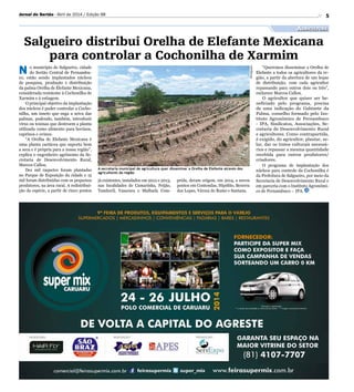 5
Salgueiro distribui Orelha de Elefante Mexicana
para controlar a Cochonilha de Xarmim
N o município de Salgueiro, cidade
do Sertão Central de Pernambu-
co, estão sendo implantados núcleos
de pesquisa, produção e distribuição
da palma Orelha de Elefante Mexicana,
considerada resistente à Cochonilha de
Xarmim e à estiagem.
O principal objetivo da implantação
dos núcleos é poder controlar a Cocho-
nilha, um inseto que suga a seiva das
palmas, podendo, também, introduzir
vírus ou toxinas que destroem a planta
utilizada como alimento para bovinos,
caprinos e ovinos.
“A Orelha de Elefante Mexicana é
uma planta cactácea que suporta bem
a seca e é própria para a nossa região”,
explica o engenheiro agrônomo da Se-
cretaria de Desenvolvimento Rural,
Marcos Callou.
Dez mil raquetes foram plantadas
no Parque de Exposição da cidade e 15
mil foram distribuídas com os pequenos
produtores, na área rural. A redistribui-
ção da espécie, a partir de cinco pontos
Agricultura
Jornal do Sertão - Abril de 2014 / Edição 98
já existentes, instalados em 2012 e 2013,
nas localidades de Camarinha, Feijão,
Tamboril, Vassoura e Malhada Com-
A secretaria municipal de agricultura quer disseminar a Orelha de Elefante através dos
agricultores da região
prida, deram origem, em 2014, a novos
pontos em Contendas, Hipólito, Bezerra
dos Lopes, Várzea do Ramo e Santana.
Divulgação
“Queremos disseminar a Orelha de
Elefante a todos os agricultores da re-
gião, a partir da abertura de um leque
de distribuição, com cada agricultor
repassando para outros dois ou três”,
esclarece Marcos Callou.
O agricultor que quiser ser be-
neficiado pelo programa, precisa
de uma indicação do Gabinete da
Palma, conselho formado pelo Ins-
tituto Agronômico de Pernambuco
- IPA, Sindicatos, Associações, Se-
cretaria de Desenvolvimento Rural
e agricultores. Como contrapartida,
é exigido, do agricultor, plantar, ze-
lar, dar os tratos culturais necessá-
rios e repassar a mesma quantidade
recebida para outros produtores/
criadores.
O programa de implantação dos
núcleos para controle da Cochonilha é
da Prefeitura de Salgueiro, por meio da
Secretaria de Desenvolvimento Rural e
em parceria com o Instituto Agronômi-
co de Pernambuco – IPA.
 