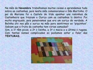No mês de Novembro trabalhamos muitas coisas e aprendemos tudo
sobre as castanhas, pois neste mês comemoramos o São Martinho. O
pai da Mariana foi a Castelo de Vide apanhar uns raminhos de
Castanheiro que traziam o Ouriço com as castanhas lá dentro .Foi
muito engraçado, pois pensávamos que era um ouriço de verdade. A
Belinha até nos pôs o ouriço na mão para sentirmos os “piquinhos”.
Sabiam que o fruto da castanha tem várias camadas?
Sim, a 1ª têm picos, a 2ª é lisinha, a 3ª é macia e a última é rugosa.
Com tantos nomes complicados só podíamos estar a falar das
TEXTURAS.
 
