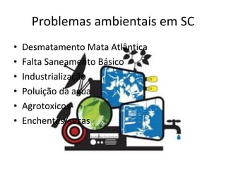 Problemas ambientais em SC Desmatamento Mata Atlântica Falta Saneamento Básico Industrialização Poluição da agua  Agrotoxicos  Enchentes/secas  