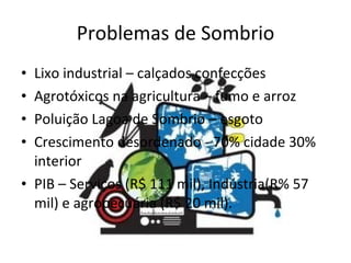 Problemas de Sombrio Lixo industrial – calçados confecções Agrotóxicos na agricultura – fumo e arroz Poluição Lagoa de Sombrio – esgoto  Crescimento desordenado - 70% cidade 30% interior PIB – Serviços (R$ 111 mil), Indústria(R% 57 mil) e agropecuária (R$ 20 mil).  