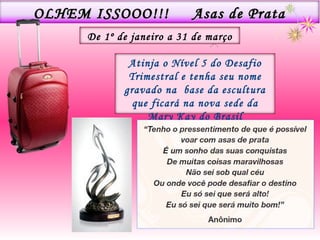 OLHEM ISSOOO!!!  Asas de Prata Atinja o Nível 5 do Desafio Trimestral e tenha seu nome gravado na  base da escultura que ficará na nova sede da Mary Kay do Brasil De 1º de janeiro a 31 de março 