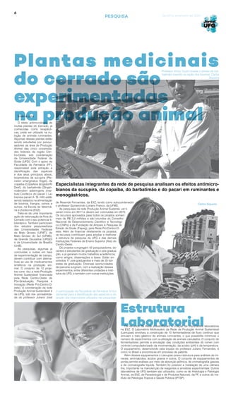 6
PESQUISA
Silvânia Lima
O efeito antimicrobiano de
muitas plantas do Cerrado, já
conhecidas como terapêuti-
cas, pode ser utilizado na nu-
trição de animais ruminantes.
Algumas dessas plantas estão
sendo estudadas por pesqui-
sadores da área de Produção
Animal das cinco universida-
des federais da região Cen-
tro-Oeste, sob coordenação
da Universidade Federal de
Goiás (UFG). Com o apoio da
Faculdade de Farmácia (FF),
responsável pela extração e
identificação das espécies
e dos seus princípios ativos,
bioprodutos da sucupira (Pte-
rodon emarginatus Vogel), da
copaíba (Copaifera langsdorffii
Desf), do barbatimão (Stryph-
nodendron adstringens (mar-
tius) Coville) e do pacari ( La-
foensia pacari A. St.-Hill) estão
sendo testados na alimentação
de bovinos, frangos, ovinos e
suínos, na Escola de Veteriná-
ria e Zootecnia (EVZ).
Trata-se de uma importante
ação de valorização da flora do
Cerrado com o seu potencial fi-
toterápico. Também participam
dos estudos pesquisadores
das Universidades Federais
de Mato Grosso (UFMT), de
Mato Grosso do Sul (UFMS),
da Grande Dourados (UFGD)
e da Universidade de Brasília
(UnB).
As pesquisas, algumas já
concluídas e outras em fase
de experimentação de campo,
devem contribuir com alterna-
tivas ao uso de medicamentos
sintéticos na produção ani-
mal. O conjunto de 12 proje-
tos cons- titui a rede Produção
Animal Sustentável financiada
pela Rede Centro-Oeste de
Pós-Graduação, Pesquisa e
Inovação (Rede Pró-Centro-O-
este). A coordenação da rede
Produção Animal Sustentável é
da UFG, sob res- ponsabilida-
de do professor Juliano José
Plantas medicinais
do cerrado são
experimentadas
na produção animal
de Resende Fernandes, da EVZ, tendo como subcoordenador
o professor Gumercindo Loriano Franco, da UFMS.
As pesquisas da rede Produção Animal Sustentá- vel ti-
veram início em 2011 e devem ser concluídas em 2015.
Os recursos aprovados para todos os projetos somam
mais de R$ 3,2 milhões e são oriundos do Conselho
Nacional de Desenvolvimento Científico e Tecnológi-
co (CNPq) e da Fundação de Amparo à Pesquisa do
Estado de Goiás (Fapeg), pela Rede Pró-Centro-O-
este. Além de financiar diretamente os projetos,
os recursos contribuem para ampliar e melhorar
a estrutura de pesquisa da UFG e das demais
Instituições Federais de Ensino Superior (Ifes) do
Centro-Oeste.
Os projetos congregam 42 pesquisadores, do-
centes e estudantes de graduação e pós-gradua-
ção, e já geraram muitos trabalhos acadêmicos,
como artigos, dissertações e teses. Estão en-
volvidos 17 pós-graduandos e mais de 20 bol-
sistas da graduação. Diversas oportunidades
de parceria surgiram, com a realização desses
experimentos, entre diferentes unidades e insti-
tutos da UFG, e também com outras instituições.
Os recursos da Rede possibilitaram a criação de importantes laboratórios
na EVZ. O Laboratório Multiusuário da Rede de Produção Animal Sustentável
(Lamupas) envolveu a construção de 10 fermentadores de fluxo contínuo que
simulam o trato gástrico de animais ruminantes, o que possibilita minimizar o
número de experimentos com a utilização de animais canulados. O conjunto de
fermentadores permite a simulação das condições ambientais do rúmen com
controle computadorizado da movimentação, da acidez (pH) e da temperatura.
O equipamento, desenvolvido pela equipe do professor Juliano Fernandes, é
único no Brasil e encontra-se em processo de patente.
Além desses equipamentos o Lamupas possui estrutura para análises de mi-
nerais, aminoácidos, ácidos graxos e outros. O conjunto de equipamentos de
ponta permite análises por meio de absorção atômica, de cromatografia gasosa
e de cromatografia líquida. Também foi possível a instalação de uma câmara
fria, importante na manutenção de reagentes e amostras experimentais. Outros
laboratórios da UFG também são utilizados, como os de Histologia e Patologia
Animal, da EVZ, de Parasitologia e de Produtos Naturais, da FF, e outros do Ins-
tituto de Patologia Tropical e Saúde Pública (IPTSP).
Especialistas integrantes da rede de pesquisa analisam os efeitos antimicro-
bianos da sucupira, da copaíba, do barbatimão e do pacari em ruminantes e
monogástricos.
Professor Victor Couto mostra o extrato de bar-
batimão inserido na ração dos bovinos. Carlos
Siqueira
A participação da Faculdade de Farmácia foi fun-
damental para a identificação das espécies e ob-
tenção dos bioprodutos utilizados nas pesquisas
Carlos Siqueira
Estrutura
Laboratorial
Goiânia, setembro de 2014
 