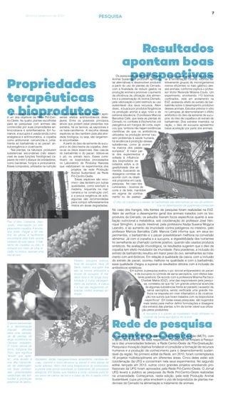 7
Propriedades
terapêuticas
e bioprodutosA volorização da flora do Cer- rado
é um dos objetivos da Rede Pró-Cen-
tro-Oeste. As quatro plantas escolhidas
para as pesquisas com animais são
conhecidas por suas propriedades an-
timicrobiana e antiinflamatória. Em hu-
manos, a sucupira é usada ainda como
analgésica e antirreumática, a copaíba
como antitumoral, cercaricida e, junta-
mente ao barbatimão e ao pacari, an-
tiulcerogênica e cicatrizante.
Tais plantas, na natureza, produzem
substancias secundárias (não essen-
ciais às suas funções fisiológicas) ca-
pazes de inibir o ataque de predadores,
como bactérias, fungos e protozoários.
Esses compostos, utilizados na nutrição
ou no tratamento tópico, podem apre-
sentar efeitos antimicrobianos dese-
jáveis. Entre os possíveis princípios
ativos que podem estar presentes nos
extratos, há os taninos, as saponinas e
os beta-carofilenos. A escolha dessas
espécies se deu também pela alta ativi-
dade biológica, ou seja, são largamen-
te encontradas.
A partir do óleo da semente de sucu-
pira e do óleo-resina da copaíba, obte-
ve-se os óleos essenciais. Das cascas
do barbatimão e do pacari, obteve-se
o pó, ou extrato seco. Esses cons-
tituem os bioprodutos processados
no Laboratório de Produtos Naturais
que viabilizaram os experimentos dos
projetos da rede Produção
Animal Sustentável da Rede
Pró-Centro-Oeste.
Essas espécies são reco-
nheci- das também por outras
qualidades, como exemplo a
madeira, requerida na mar-
cenaria e na construção civil,
e a pouca exigência de solo,
algumas são recomendadas
para compor reflorestamentos
mistos em áreas degradadas.
Pau d´óleo, copaúva, óleo-
-preto, óleo-rajado ou sim-
plesmente copaíba. A árvore,
que pode chegar a 40 me-
tros de altura, é facilmente
encontrada pelo forte aroma
exalado de sua casca. O bál-
samo da copaíba, ou óleo, é
extraído por meio de uma in-
cisão no tronco, apenas uma
vez ao ano
Faveiro, sucupira branca,
fava de sucupira, fava de
Santo Inácio, sucupira lisa
são os nomes atribuídos à
árvore de sucupira. A ma-
deira dura e de longa dura-
bilidade é outra vantagem.
Além da semente, a casca
e a raiz são largamente uti-
lizadas contra diversas do-
enças
Resultados
apontam boas
perspectivas
Rede de pesquisa
Centro-Oeste
O termo barbatimão
é a denominação
popular utilizada
para uma varieda-
de de plantas de
larga ocorrência no
Cerrado brasileiro.
O nome deriva do
termo indígena Iba
Timo, que significa
“árvore que aper-
ta”, uma alusão à
sua alta capacida-
de de adstringên-
cia. Suas conheci-
das propriedades
medicinais são atri-
buídas à produção
potencial de tanino.
Dedaleiro, dedal, mangava-brava, amarelinho, candeia-de-
-caju, copinho e louro-da-serra ou pacari é uma planta de
porte arbóreo. Além dos usos terapêuticos já conhecidos,
a planta está sendo estudada no tratamento de processos
alérgicos. Em Goiás, sua madeira é muito utilizada para fa-
zer eixos de carros de boi e a base da flor é usada como
dedal
Os pesquisadores da rede Produção
Animal Sustentável procuram apresen-
tar alternativas e desenvolver produtos
a partir do uso de plantas do Cerrado,
com a finalidade de reduzir gastos na
produção animal e promover o aumento
da eficiência de utilização dos alimen-
tos e a preservação do bioma Cerrado,
pela valorização e pelo estímulo ao uso
sustentável dos seus recursos. Além
disso, a busca por produtos fitogênicos
na produção animal é algo novo e de
extrema relevância. O professor Marcos
Barcellos Café, que testa as plantas do
Cerrado no combate à Escherichia coli
patogênica em frangos de corte, expli-
cou que “embora não hajam evidências
científicas de que os antibióticos
utilizados na produção animal cau-
sem problemas à saúde humana,
há tendência à proibição dessas
substâncias, como já ocorre
na maioria dos países
europeus”. A maior par-
te dos experimentos é
voltada à influência
dos bioprodutos es-
tudados sobre a di-
gestibilidade dos ali-
mentos, buscando as
dosagens corretas de
acordo com os objeti-
vos propostos em cada
pesquisa. No caso dos
ruminantes – bovinos de
corte e de leite, mantidos
em regime de confina-
mento ou de pastejo
– o uso dessas plantas é para contro-
lar a fermentação ruminal, inibindo se-
letivamente grupos de microrganismos
menos eficientes no trato gástrico des-
ses animais, conforme explica o profes-
sor Victor Rezende Moreira Couto. Um
experimento, envolvendo 115 bovinos
confinados, está em andamento na
EVZ, avaliando efeito do extrato de bar-
batimão sobre o desempenho produtivo
desses animais. Estudos prévios in vitro
no Lamupas, já desmonstraram o efeito
antibiótico do óleo da semente de sucu-
pira, do óleo de copaíba e do extrato de
barbatimão. Dos extratos inseridos na
ração, o óleo de sucupira apresentou
baixa aceitação por parte dos animais.
O óleo de copaíba e o extrato de barbatimão são alternativas ao uso de antibióti-
cos no desempenho de poederias comerciais
Em suínos, a pesquisa avaliou o po- tencial antiparasitário do pacari
e da sucupira no controle da sarna sarcóptica, com efeitos bas-
tante positivos. De acordo com a professora Moema Pacheco
Chediak Matos (EVZ), uma das responsáveis pela pesqui-
sa, constatou-se que há “um grande potencial acaricida
de algumas substâncias frente ao parasito causador da
sarna sarcóptica, sendo verificada uma grande me-
lhora na resposta em nível inflamatório e de cicatriza-
ção nos suínos que foram tratados com os bioprodutos
específicos”. Em todas essas pesquisas, são sugeridos
mais testes para melhor definir formulações e dosagens
dos extratos das plantas, a fim de tornar viável sua utiliza-
ção pelos produtores.
A sucupira e o pacari se mostraram muito eficazes no
controle da sarna sarcóptica em suínos
No caso dos frangos, três frentes de pesquisa foram realizadas na EVZ.
Além de verificar o desempenho geral dos animais tratados com os bio-
produtos do Cerrado, os estudos tiveram focos específicos quanto à ava-
liação nutricional e metabólica, sob coordenação do professor José Hen-
rique Stringhini, à saúde intestinal, pela professora Nadja Susana Mogyca
Leandro, e ao aumento da imunidade contra patógenos no intestino, pelo
professor Marcos Barcellos Café. Marcos Café informa que, em seus ex-
perimentos, o barbatimão e o pacari possibilitaram melhoria na conversão
alimentar. Já com a copaíba e a sucupira, a digestibilidade dos nutrientes
foi semelhante ao chamado controle positivo, quando são usados produtos
sintéticos. Na avaliação imunológica, os resultados sugerem que o óleo de
copaíba tem efeito modulador da imunidade. Para poedeiras, a inclusão do
extrato de barbatimão resultou em maior peso do ovo, semelhantes ao trata-
mento com anti-bióticos. Em relação à qualidade da casca, com a inclusão
do extrato de pacari, ocorreu melhora na qualidade e com o barbatimão,
essa qualidade chegou a superar os resultados obtidos com a inclusão de
antibióticos sintéticos.
Estruturada pelo Ministério da Ciência, Tecnologia e Inovação (MCTI), com
o apoio dos Estados, de suas respectivas Fundações de Amparo à Pesqui-
sa e das universidades federais, a Rede Centro-Oeste de Pós-Graduação,
Pesquisa e Inovação objetiva fortalecer e consolidar a formação de recursos
humanos e a produção de conhecimento para o desenvolvimento susten-
tável da região. No primeiro edital da Rede, em 2010, foram contemplados
16 projetos multidisciplinares em diferentes áreas. Cinco deles estão sob
coordenação da UFG e concentram nela seus experimentos. No segundo
edital, lançado em 2013, outros cinco grandes projetos envolvendo pro-
fissionais da UFG foram aprovados pela Rede Pró-Centro-Oeste. O Jornal
UFG levará a público as pesquisas da Rede Pró-Centro-Oeste realizadas
na universidade. Começamos, nesta edição, pela rede Produção Animal
Sustentável, cujos pro- jetos envolvem o uso de bioprodutos de plantas me-
dicinais do Cerrado na alimentação e tratamento de animais.
PESQUISAGoiânia, setembro de 2014
 