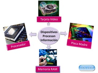 Tarjeta Video

Dispositivos
Procesan
Información

Scanner
Scanner

Memoria RAM

 