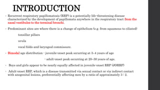 INTRODUCTION
• Recurrent respiratory papillomatosis (RRP) is a potentially life-threatening disease
characterized by the development of papillomata anywhere in the respiratory tract from the
nasal vestibules to the terminal bronchi.
• Predominant sites are where there is a change of epithelium (e.g. from squamous to ciliated)
tonsillar pillars
uvula
vocal folds and laryngeal commissure.
• Bimodal age distribution - juvenile-onset peak occurring at 3–4 years of age
- adult-onset peak occurring at 20–30 years of age.
• Boys and girls appear to be nearly equally affected in juvenile-onset RRP (JORRP)
• Adult-onset RRP, which is a disease transmitted via sexual contact or via indirect contact
with anogenital lesions, preferentially affecting men by a ratio of approximately 3 : 2.
 