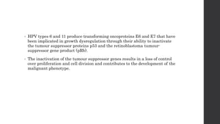 • HPV types 6 and 11 produce transforming oncoproteins E6 and E7 that have
been implicated in growth dysregulation through their ability to inactivate
the tumour suppressor proteins p53 and the retinoblastoma tumour-
suppressor gene product (pRb).
• The inactivation of the tumour suppressor genes results in a loss of control
over proliferation and cell division and contributes to the development of the
malignant phenotype.
 