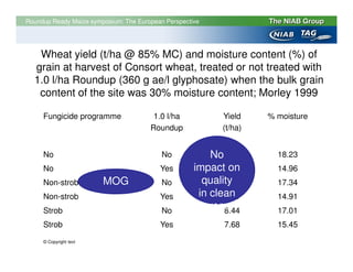 Roundup Ready Maize symposium: The European Perspective




   Wheat yield (t/ha @ 85% MC) and moisture content (%) of
  grain at harvest of Consort wheat, treated or not treated with
  1.0 l/ha Roundup (360 g ae/l glyphosate) when the bulk grain
   content of the site was 30% moisture content; Morley 1999

     Fungicide programme                1.0 l/ha           Yield    % moisture
                                       Roundup             (t/ha)


     No                                    No            No 6.52      18.23
     No                                   Yes        impact6.32
                                                             on       14.96
     Non-strob          MOG                No          quality
                                                            7.31      17.34
     Non-strob                            Yes         in clean
                                                            6.81      14.91
     Strob                                 No          crops8.44      17.01
     Strob                                Yes               7.68      15.45

     © Copyright text
 