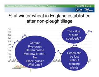 Roundup Ready Maize symposium: The European Perspective




  % of winter wheat in England established
           after non-plough tillage
  45
  40                                                        The value
  35                                                         of stale
  30                                                       seedbeds?
  25
  20
                              Cereals
  15                        Rye-grass
  10                       Barren brome
   5                      Meadow brome -                   Seeds can
   0                            No                           be lost
                           Black-grass?                     without
 19 5
 19 6
 19 7
 19 8
 19 9
 19 0
 19 1
 19 2
 19 5
 19 6
 19 7
 19 8
 19 9
 19 0
 19 1
 19 2
 19 3
 19 4
 19 5
 19 6
 19 7
 19 8
 20 9
 20 0
 20 1
 20 2
 20 3
 20 4
 20 5
 20 6
 20 7
    08
    7
    7
    7
    7
    7
    8
    8
    8
    8
    8
    8
    8
    8
    9
    9
    9
    9
    9
    9
    9
    9
    9
    9
    0
    0
    0
    0
    0
    0
    0
    0
 19




                            Wild-oats?                      creating
Source:
       © Copyright text                                      plants
 