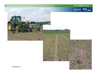 Roundup Ready Maize symposium: The European Perspective




     © Copyright text
 