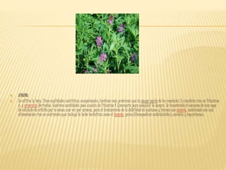  Alfalfa
 Se utiliza la hoja. Tiene cualidades nutritivas excepcionales. Contiene más proteínas que la mayor parte de los vegetales. Es también rica en Vitamina
A, y minerales derivados. Contiene cantidades poco usuales de Vitamina K (necesaria para coagular la sangre. Se recomienda el consumo de una copa
de extracto de alfalfa por lo menos una vez por semana, para el tratamiento de la debilidad en ancianos y jóvenes con anemia, combinada con una
alimentación rica en nutrientes que incluya la leche hortalizas como el tomate, paico (Chenopodium ambrosioides), cereales y leguminosas.
 