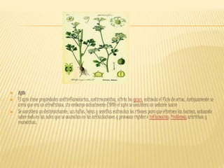  Apio
 El apio tiene propiedades antiinflamatorias, antirreumática, alivia los gases, estimula el flujo de orina. Antiguamente se
creía que era un afrodisiaco, sin embargo actualmente (2010) el apio se considera un sedante suave
 Se considera un desintoxicante, sus tallos, hojas y semillas estimulan los riñones para que eliminen las toxinas, actuando
sobre todo en las sales que se acumulan en las articulaciones y provocan rigidez e inflamación. Problemas artríticos y
reumáticos.
 