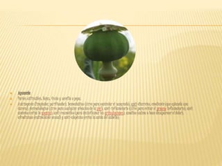  Aguacate
 Partes utilizables: Hojas, fruto y semilla o pepa.
 Astringente (limpiador, purificador), hemostático (sirve para controlar el sangrado), anti-diarreico, emoliente (que aplanda una
dureza), dermatológico (sirve para cualquier afección de la piel), anti-inflamatorio (sirve para evitar el proceso inflamatorio), anti
anémico (evita la anemia), anti-reumático (para desinflamar las articulaciones), anodino (calma o hace desaparecer el dolor),
afrodisíaco (estimulante sexual) y anti-alopésico (evita la caída del cabello).
 