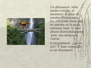 Un dinosaurio  bebe medio extraño, al amanecer  le puso de nombre Presiosaurio fue creciendo hasta que no entraba en la pieza entonces Juan  lo saco afuera disimuladamente  pero  sus amigos lo vieron; le preguntaron  ¿que es eso? Y Juan respondió es un dinosaurio. 