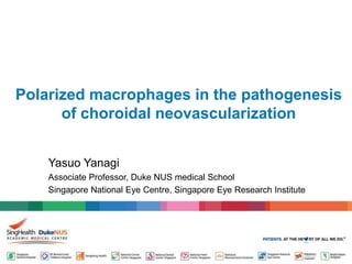 Polarized macrophages in the pathogenesis
of choroidal neovascularization
Yasuo Yanagi
Associate Professor, Duke NUS medical School
Singapore National Eye Centre, Singapore Eye Research Institute
 