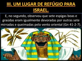 E, no segundo, observou que sete espigas boas e
graúdas eram igualmente devoradas por outras sete
mirradas e queimadas pelo vento oriental (Gn 41-2-7).
 