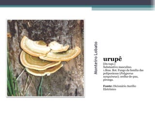 urupê [Do tupi.]  Substantivo masculino.  1.Bras. Bot. Fungo da família das poliporáceas ( Polyporus sanguineus ); orelha-de-pau, pironga. Fonte:  Dicionário Aurélio Eletrônico 