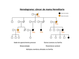 Heredograma: câncer de mama Hereditario
Câncer de mama

53y.

Câncer de ovario

45y.

35y.

38y.

44y.

39y.

Idade de aparecimento precoce

Outros tumores na família

Bilateralidade

Penetrância variável

Múltiplos membros afetados na família

 