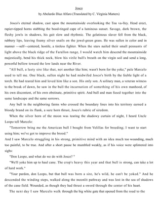 Josco
by Abelardo Diaz Alfaro (Translated by C. Virginia Matters)
Josco's eternal shadow, cast upon the mountainside overlooking the Toa va-lley. Head erect,
rapier-tipped horns stabbing the bood-tinged cape of a luminous sunset. Savage, dark brown, the
fleshy jowls in shadows, his gait slow and rhythmic. The gelatinous slaver fell from the black,
rubbery lips, leaving foamy silver snails on the jewel-green grass. He was sullen in color and in
manner —self—centered, hostile, a tireless fighter. When the stars nailed their small pennants of
light above the black ridge of the Farallon range, I would watch him descend the mountainside
majestically, bend his thick neck, blow his virile bull's breath on the virgin soil and send a long,
powerful bellow toward the low lands near the River.
"All bull, a lusty sire like that, not another like him; wasn't born for the yoke," pale Marcelo
used to tell me. One black, sullen night he had midwifed Josco's birth by the feeble light of a
torch. He had reared him and loved him like a son. His only son. A solitary man, a veteran witness
to the break of dawn, he saw in the bull the incarnation of something of his own manhood, of
his own discontent, of his own obstinate, primitive spirit. And bull and man fused together into the
same landscape and the same sorrows.
Any bull in the neighboring farms who crossed the boundary lines into his territory earned a
bloody brand on its flank, a sure horn thrust, Josco's rubric of siredom.
When the silver horn of the moon was tearing the shadowy curtain of night, I heard Uncle
Leopo tell Marcelo:
"Tomorrow bring me the American bull I bought from Velillas for breeding; I want to start
using him; we've got to improve the brood."
And I saw Marcelo struggling in his strong, primitive mind with an idea much too wounding, much
too painful, to be true. And after a short pause he mumbled weakly, as if his voice were splintered into
sighs:
"Don Leopo, and what do we do with Josco? "
"We'll yoke him up to haul cane. The crop's heavy this year and that bull is strong, can take a lot
of hard work."
"Your pardon, don Leopo, but that bull was born a sire, he's wild, he can't be yoked." And he
descended the winding steps, walked along the moonlit pathway and was lost in the sea of shadows
of the cane field. Wounded, as though they had thrust a sword through the center of his heart.
The next day I saw Marcelo walk through the big white gate that opened from the road to the
 
