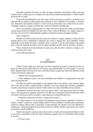 Ouvindo o gemido do alazão, os olhos da égua cintilaram, procurando o filho, mas logo
amorteceram; a cabeça que só se erguera com um esforço tombou pesadamente, e súbito estertor
percorreu-lhe o corpo.
Comovida profundamente com esta cena, Catita correu para o animal, e sentando-se no
chão pôs-lhe no regaço a cabeça inerte que estreitou ao seio, cobrindo-a de carinhos e de lágri-
mas. Entretanto Juca lambia a ferida e o corpo da baia, procurando com a baba cheia de seiva e
vitalidade, estancar o sangue e restituir-lhe o calor aos membros entorpecidos.
De vez em quando a rapariga deitava o olhar em torno à procura de Canho; ela adivinhara
sua presença recente no cuidado com que estava feita a cama da Morena, e no chapéu suspenso a
um ramo seco de árvore. Naturalmente o gaúcho se afastara em busca de algum remédio.
Não se enganava.
Manuel reconhecera que não havia meio de estancar o sangue enquanto a bala estivesse
alojada junto ao osso, impedindo a aderência das carnes e ligação dos vasos ofendidos. Tendo
preparado a cama dentro do mato, e ajudado a baia a arrastar-se até ali, mal rompeu o dia partira
para a vila com intenção de munir-se de um objeto qualquer que lhe servisse de tenta e de pinça.
Nesse momento Juca descobrindo um gozo que saíra do mato e farejava o sangue, o ar-
remessou longe com a pata.
O cãozinho desapareceu.
XIII
OS CHIMARRÕES
Voltou Canho afinal com uma haste de ferro, arqueada na ponta à maneira de uma tor-
quês: foi tudo quanto pôde obter de um ferreiro cuja especialidade era fazer pregos e arcos de
barril. Quando entre uma fresta do mato, descobriu longe o grupo que formavam Morena, Catita
e Juca, foi terrível a impressão.
— Morta? disse ele precipitando-se.
— Não! balbuciou Catita, mas tão timidamente que Manuel a compreendeu mais pelo
gesto do que pela fala.
Os olhos do gaúcho encontrando os da rapariga, não se desviaram, como outrora. Quem
eles viram não era mais a mulher bonita e sedutora, e sim um coração que entendia e partilhava
sua dor; uma alma que naquele momento solene entrava na santa comunhão de suas afeições.
Ajoelhando em frente da moça, curvou-se quase sobre o seu regaço para observar a Mo-
rena; e com um gesto de angústia mostrou-se a lividez que se derramava pelo cristalino dos olhos
do animal. Catita pressentira esse gesto, e duas lágrimas correram-lhe pela face.
— Enquanto a bala estiver dentro, o sangue não estanca e…
Um soluço abafou a voz do gaúcho, que preparou-se para tentar a operação. Só então a-
braçou o alazão, a quem na véspera julgara morto. O Juca estendeu o focinho para o horizonte,
meneou a cabeça, olhou a mãe, e gesticulou. O que pretendia ele exprimir com isso? Manuel en-
tendeu que o alazão perseguido correra toda a noite em sentido contrário, para fazer que o inimi-
go perdesse a pista da Morena.
Depois dos maiores esforços para extrair a bala, o Canho descoroçoado derrubara a cabe-
ça aos peitos, ajoelhado ao lado do corpo da Morena, quando uma voz formidável reboou entre
as árvores.
— Cá está o cujo.
 