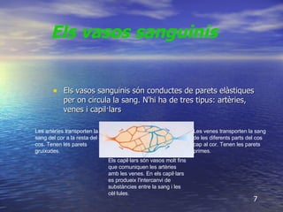 Els vasos sanguinis són conductes de parets elàstiques per on circula la sang. N'hi ha de tres tipus: artèries, venes i capil·lars  Els vasos sanguinis   7 Les artèries transporten la sang del cor a la resta del cos. Tenen les parets gruixudes. Les venes transporten la sang de les diferents parts del cos cap al cor. Tenen les parets primes.  Els capil·lars són vasos molt fins que comuniquen les artèries amb les venes. En els capil·lars es produeix l'intercanvi de substàncies entre la sang i les cèl·lules.  
