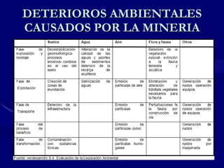 DETERIOROS AMBIENTALES CAUSADOS POR LA MINERIA 