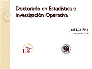 Doctorado en Estadística e Investigación Operativa José Luis Pino 12 de junio de 2008 