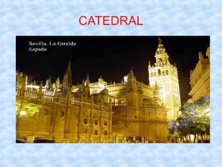 CATEDRAL 