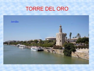 TORRE DEL ORO 