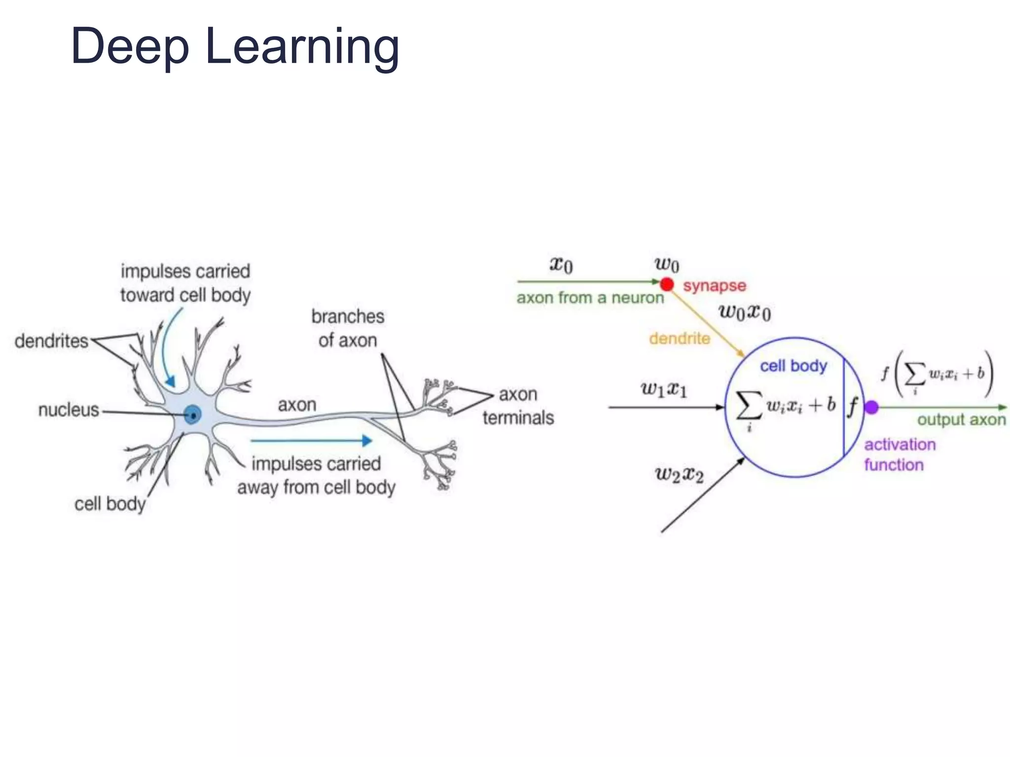 Deep Learning
 