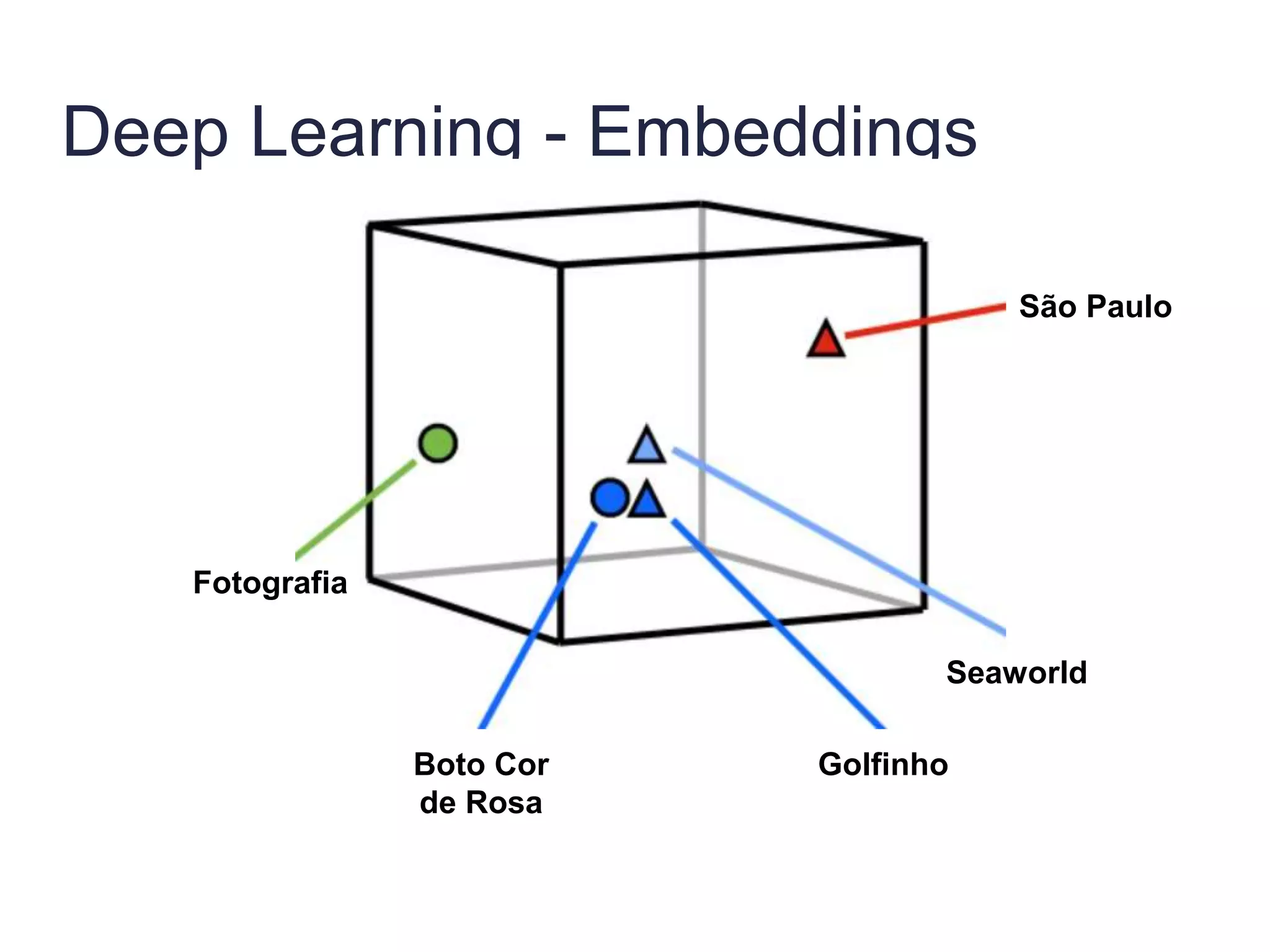 Deep Learning - Embeddings
Fotografia
Boto Cor
de Rosa
Golfinho
Seaworld
São Paulo
 