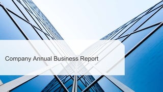 Company Annual Business Report
 