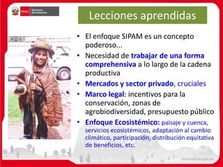 Lecciones aprendidas
• El enfoque SIPAM es un concepto
poderoso...
• Necesidad de trabajar de una forma
comprehensiva a lo largo de la cadena
productiva
• Mercados y sector privado, cruciales
• Marco legal: incentivos para la
conservación, zonas de
agrobiodiversidad, presupuesto público
• Enfoque Ecosistémico: paisaje y cuenca,
servicios ecosistémicos, adaptación al cambio
climático, participación, distribución equitativa
de beneficios, etc.
 