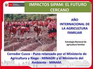 IMPACTOS SIPAM: EL FUTURO
CERCANO
Corredor Cusco - Puno relanzado por el Ministerio de
Agricultura y Riego - MINAGRI y el Ministerio del
Ambiente - MINAM.
AÑO
INTERNACIONAL DE
LA AGRICULTURA
FAMILIAR
Estrategia Nacional de
agricultura familiar
 