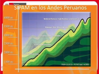 SIPAM en los Andes Peruanos
 