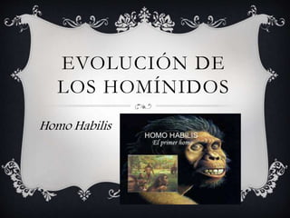 EVOLUCIÓN DE
LOS HOMÍNIDOS
Homo Habilis
 