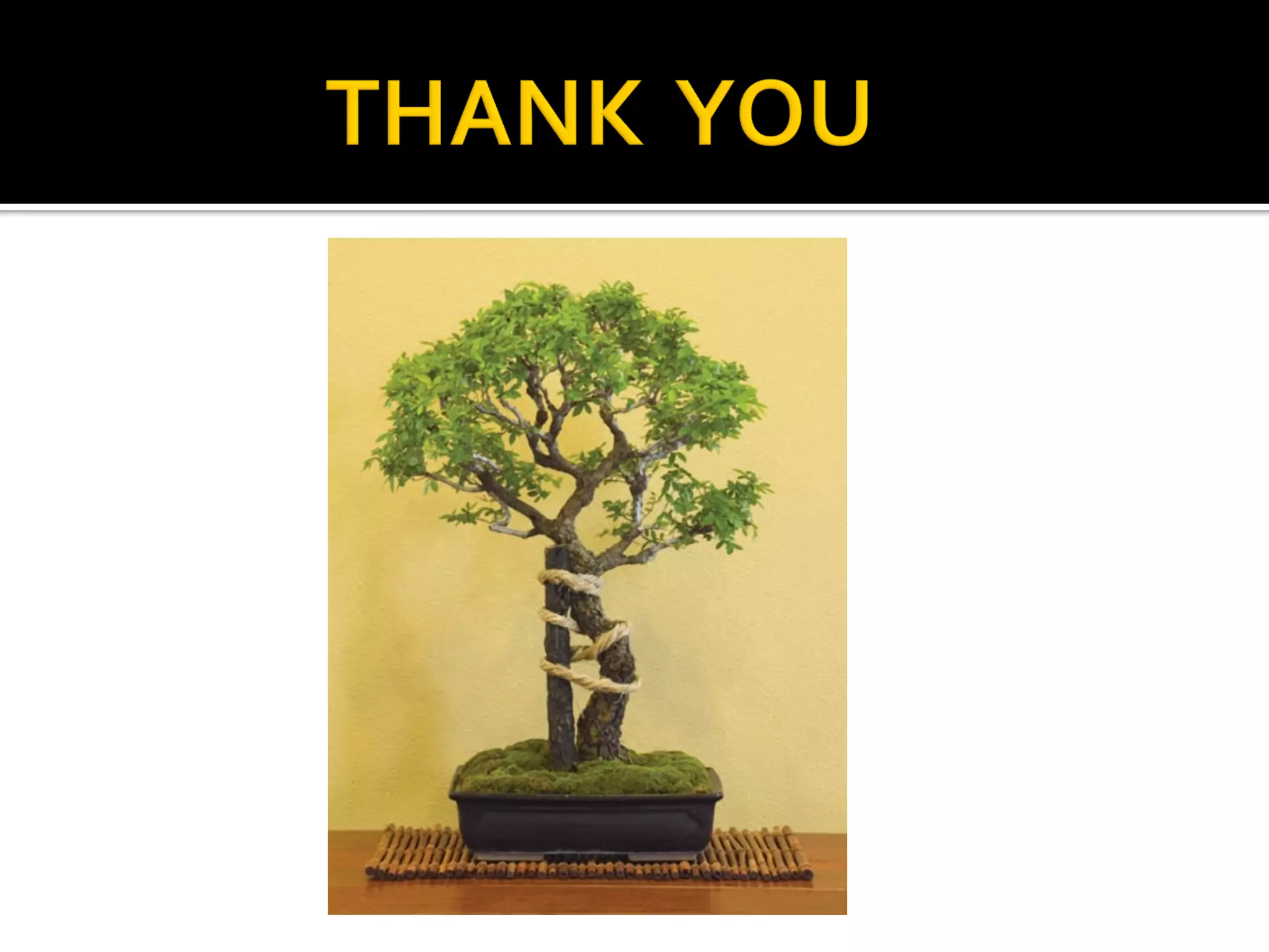 Jose Austine- Management in peripheral nerve injuries-seminar version