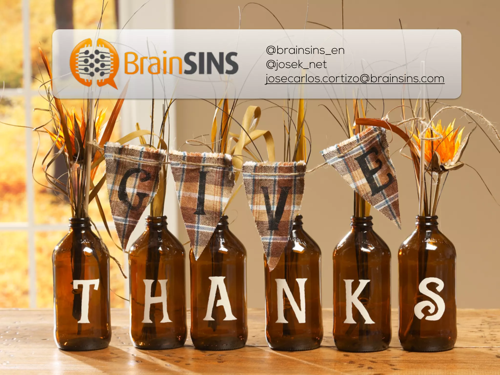 @brainsins_en
@josek_net
josecarlos.cortizo@brainsins.com
 