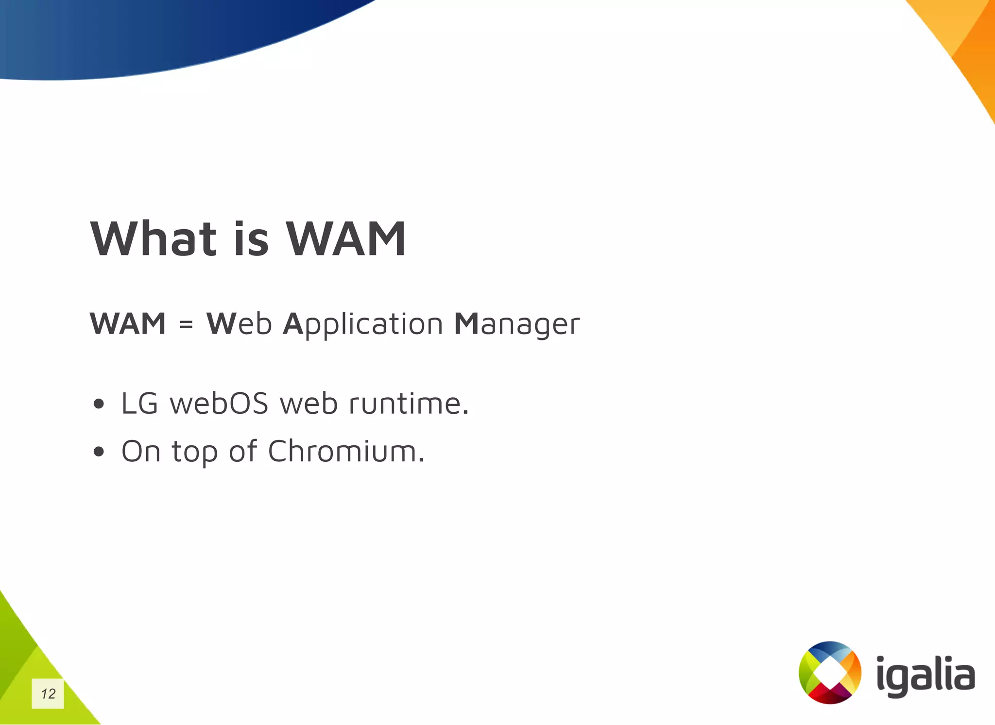 What is WAM
WAM = Web Application Manager
LG webOS web runtime.
On top of Chromium.
12
 