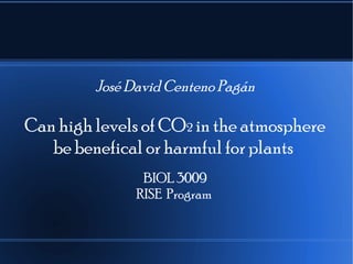 José David Centeno Pagán
Can high levels of CO2 in the atmosphere
be benefical or harmful for plants
BIOL 3009
RISE Program
 