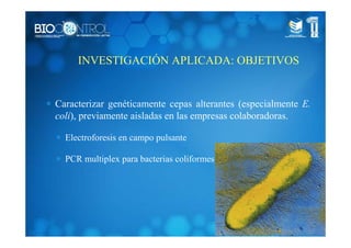 INVESTIGACIÓN APLICADA: OBJETIVOS
∗ Caracterizar genéticamente cepas alterantes (especialmente E.
coli), previamente aisladas en las empresas colaboradoras.
∗ Electroforesis en campo pulsante
∗ PCR multiplex para bacterias coliformes
 