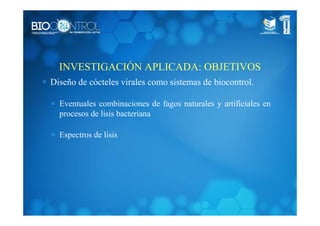 INVESTIGACIÓN APLICADA: OBJETIVOS
∗ Diseño de cócteles virales como sistemas de biocontrol.
∗ Eventuales combinaciones de fagos naturales y artificiales en
procesos de lisis bacteriana
∗ Espectros de lisis
 