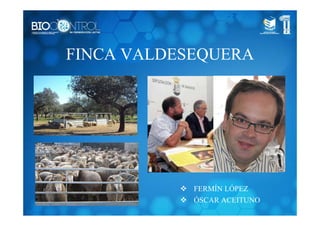 FINCA VALDESEQUERA
FERMÍN LÓPEZ
ÓSCAR ACEITUNO
 