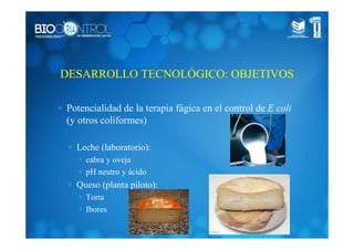 ∗ Potencialidad de la terapia fágica en el control de E coli
(y otros coliformes)
∗ Leche (laboratorio):
∗ cabra y oveja
∗ pH neutro y ácido
∗ Queso (planta piloto):
∗ Torta
∗ Ibores
DESARROLLO TECNOLÓGICO: OBJETIVOS
 