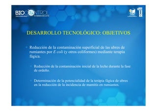 DESARROLLO TECNOLÓGICO: OBJETIVOS
∗ Reducción de la contaminación superficial de las ubres de
rumiantes por E coli (y otros coliformes) mediante terapia
fágica.
∗ Reducción de la contaminación inicial de la leche durante la fase
de ordeño.
∗ Determinación de la potencialidad de la terápia fágica de ubres
en la reducción de la incidencia de mamitis en rumiantes.
 